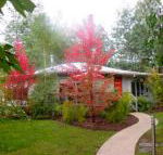 Dalrymples Guest Cottages - Redcliffe Tourism