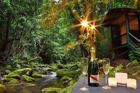 Misty Mountains Rainforest Retreat - Redcliffe Tourism 3