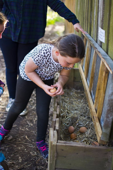 Freshwater Creek Cottages And Farm Stay - Redcliffe Tourism 4