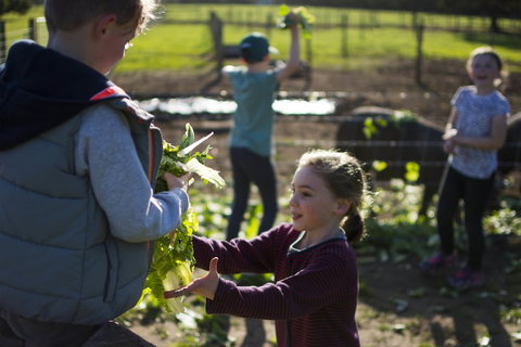 Freshwater Creek Cottages And Farm Stay - Redcliffe Tourism 3