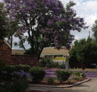 Belvoir Village Motel  Apartments Wodonga - Redcliffe Tourism