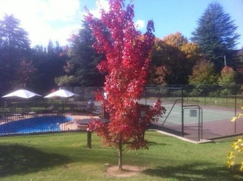 Chestnut Tree Holiday Apartments - Redcliffe Tourism 1
