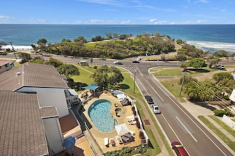 Pandanus Coolum Beach - Redcliffe Tourism 0