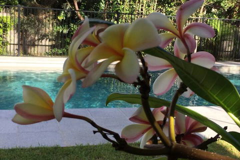 Arabella Garden Inn Motel - Redcliffe Tourism 2
