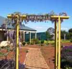 Lavendale Farmstay  Cottages York - Redcliffe Tourism