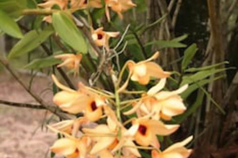 Crookneck Retreat - Redcliffe Tourism 2