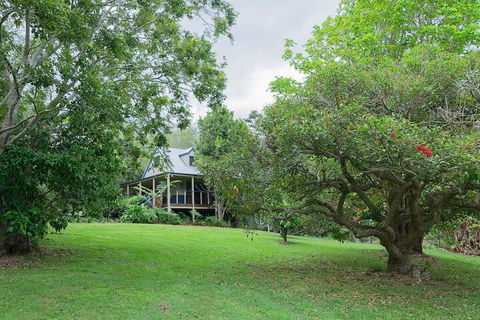 Jacaranda Cottages - Redcliffe Tourism 1