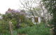 Corinella Country House - thumb 1