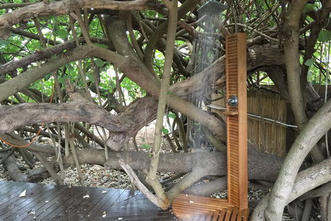 The Beachside Cottages - Redcliffe Tourism 4