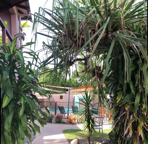 Pandanus Holiday Apartments - Redcliffe Tourism 4