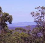 Ravensbourne Escape Cedar Lodge - Redcliffe Tourism