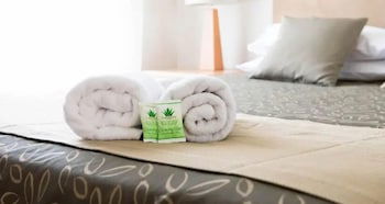 Capella Coach Inn - Redcliffe Tourism 2