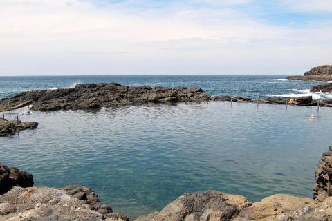 Kiama Harbour Cabins - Redcliffe Tourism 4