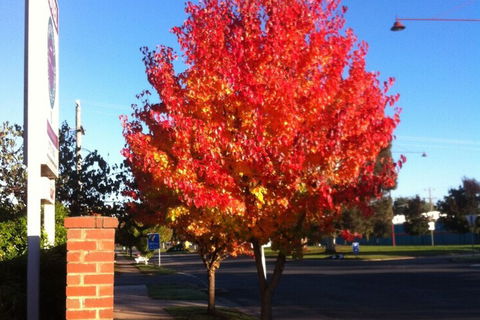 Mansfield Traveller's Lodge - Redcliffe Tourism 2