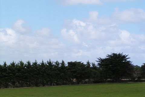 Karingal Homestead B & B - Redcliffe Tourism 5