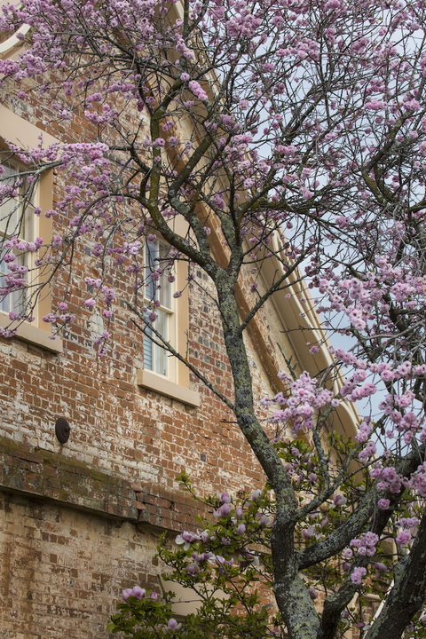 The Racecourse Inn - Redcliffe Tourism 0