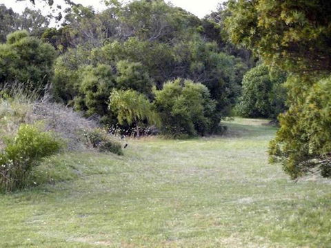 Absolute Waterfront Cottage - Redcliffe Tourism 3