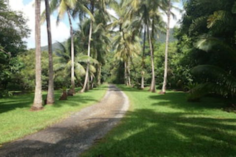 Cape Trib Farmstay - Redcliffe Tourism 0