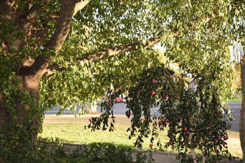 Alkira Motel - Redcliffe Tourism 4