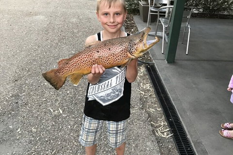 Eildon Pondage Holiday Park - Redcliffe Tourism 0