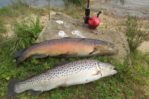 Eildon Pondage Holiday Park - Redcliffe Tourism 4