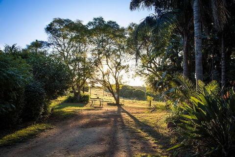Hillview Cottages - Redcliffe Tourism 0