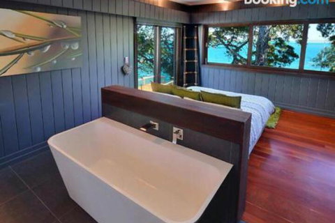 Dolphins At Sunset - Redcliffe Tourism 4