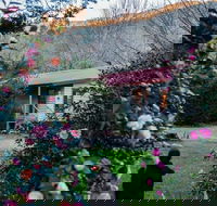 Mystic View Cottage Wandiligong