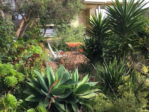Andrews On Topaz - Redcliffe Tourism 4
