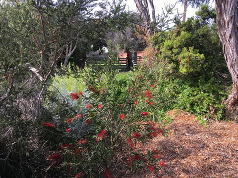 Andrews On Topaz - Redcliffe Tourism 6