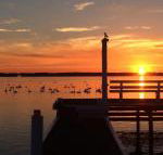 Bayview Boathouse - Redcliffe Tourism