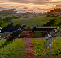 Tilba Lake Pods - Redcliffe Tourism