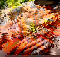 Table 30 - Redcliffe Tourism