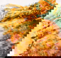 The Water Rat Hotel - Redcliffe Tourism