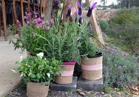 Amongst The Sticks - Redcliffe Tourism 1