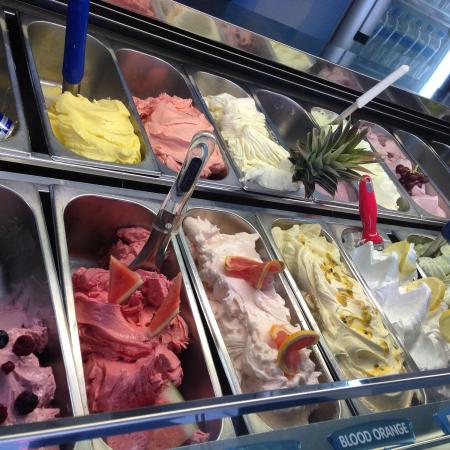  Redcliffe Tourism