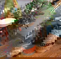 The Craft  Co Farm - Redcliffe Tourism