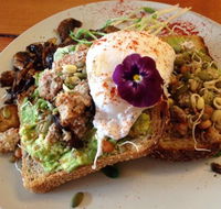 Waratah Organics - Redcliffe Tourism