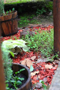 Herveys Range Heritage Tea Rooms - Redcliffe Tourism 10