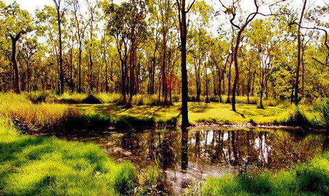 Herveys Range Heritage Tea Rooms - Redcliffe Tourism 3