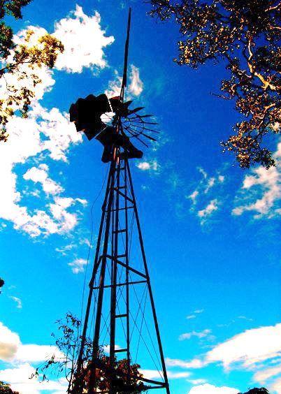 Herveys Range Heritage Tea Rooms - Redcliffe Tourism 4