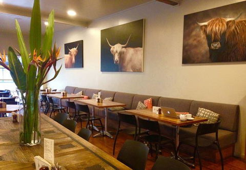 The Shaggy Cow - Redcliffe Tourism 11