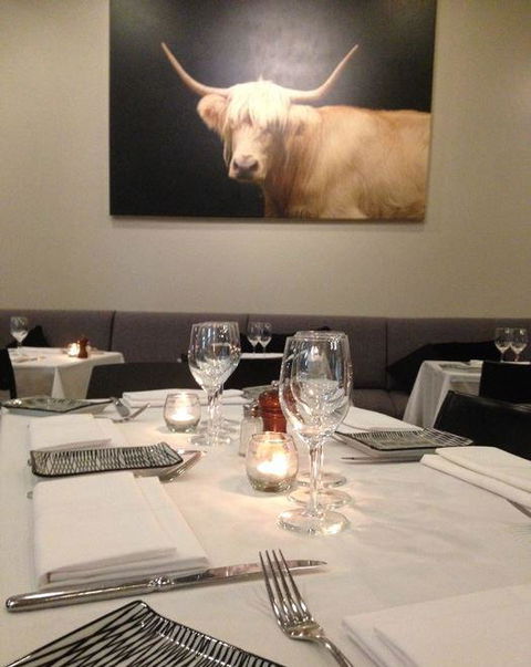 The Shaggy Cow - Redcliffe Tourism 15