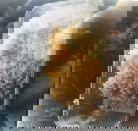 Noodle Dynasty - Redcliffe Tourism