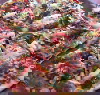 Il Cugino Pizzeria Ristorante - Redcliffe Tourism