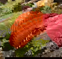 Sushi Dining Den - Redcliffe Tourism