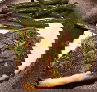 Cento 22 - Redcliffe Tourism