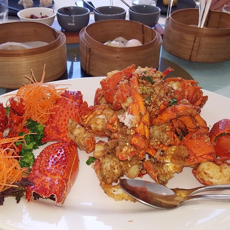 Haymarket NSW Redcliffe Tourism