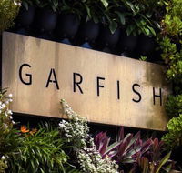 Garfish - Redcliffe Tourism