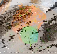 Rays Place - Redcliffe Tourism